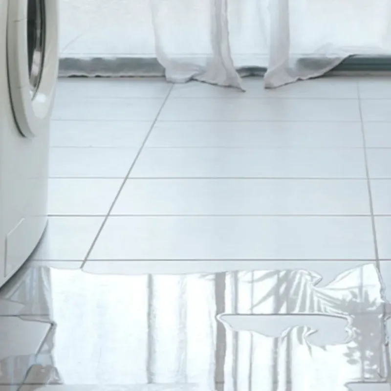 Appliance Leak Cleanup in Marion, SC